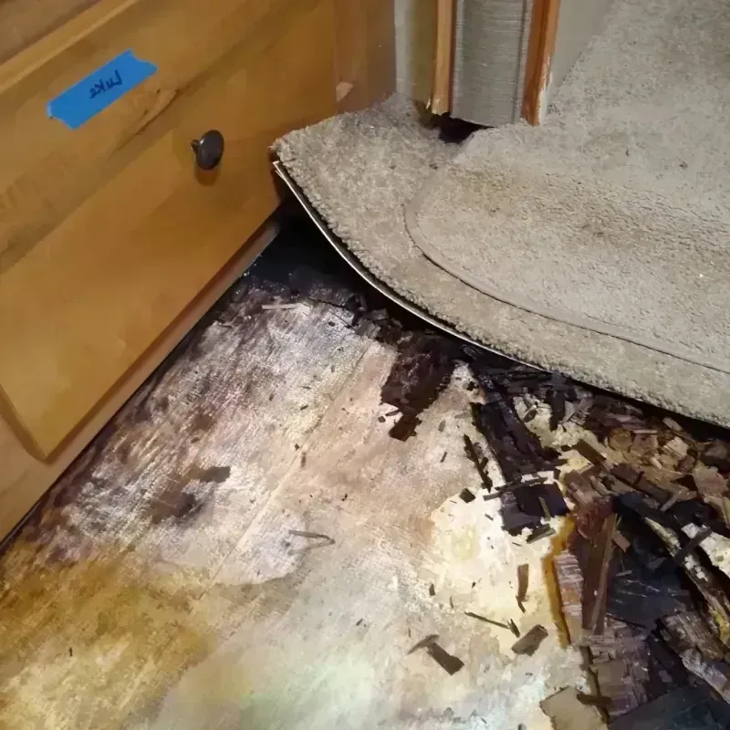 Best Wood Floor Water Damage Service in Prairie Creek, AR